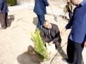 گزارش تصویری از آئیین درختکاری و تقدیر ازهمکاران فضای سبز دانشگاه